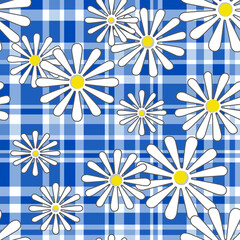 White chamomile flowers on a blue checkered background 