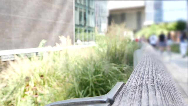 New York City High Line elevated greenway, Manhattan Midtown, USA. People in urban public park. Promenade in garden greenery. American street life, Chelsea highline near Hudson Yards. Wooden bench.