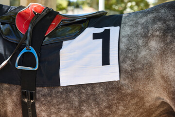 Race horse and horsemans shawl detail. Purebred in the hippodrome. Turf