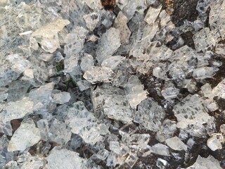 broken glass shards scattered on asphalt background 