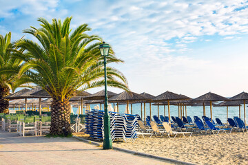 Wooden umbrellas at sandy beach, and palm tree