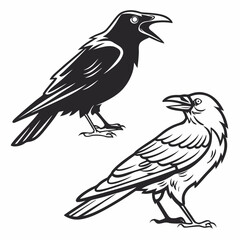 Two black crows vintage style illustration bird graphic design