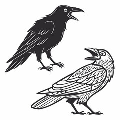 Fototapeta premium Two ravens illustration black and white silhouette and detailed drawing