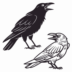 Two ravens black and white illustration graphic design