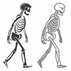 Walking skeleton anatomy illustration black and gray