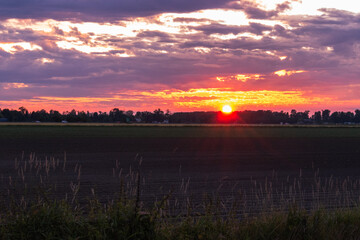 Sunset over farmers field
