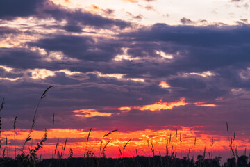 Rural sunset