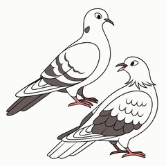 Two adorable cartoon pigeons side by side