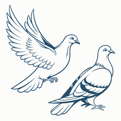 Two doves flying and standing line art illustration