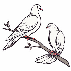 Two white doves perched on a branch springtime