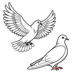 Two white doves one flying one standing
