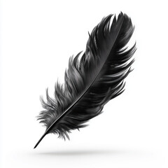 Stunning Black Feather Detail , isolated on white background png