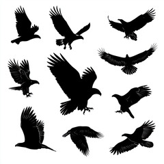 Obraz premium Majestic Eagle Silhouettes , isolated on white background png