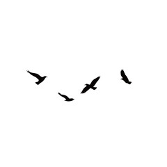 Flock of Birds in Flight – Black Silhouette Nature Vector