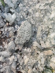 broken glass shards scattered on asphalt stone wall background 