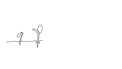 Animated self drawing of continuous line draw of step of grow plant.Seeds sprout in ground. Seedling gardening plants, sprouts. Full length one line animation. 4K - Powered by Adobe