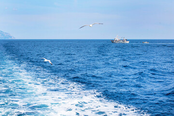 Travel vacation background with blue sea view, seagull and ship