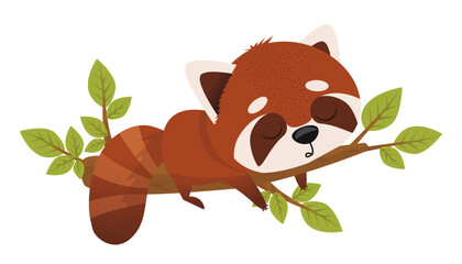 Cute vector illustration of red panda sleeping on branch. Hand drawn