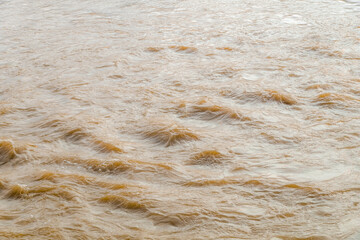 The background of the river water is murky brown