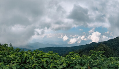 Obraz premium twin pagoda, Chiang Mai