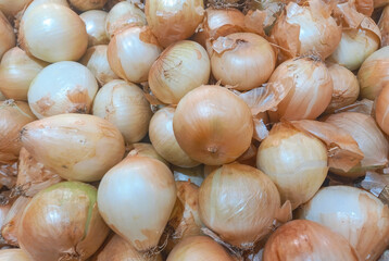 Young bulb onions in peel