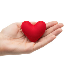 Fototapeta premium A human hand tenderly cradles a soft, red heart, representing concepts of love, donation, support, and emotional connection. Ideal for themes of charity, health, and romance.