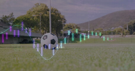 Black and white soccer ball resting on grass pitch in park, with bench and data overlays