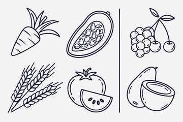 Carrot papaya cherries wheat tomato and coconut isolated on white