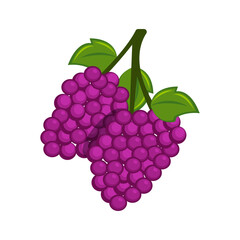 Two Purple Grapes Flat Illustration Cartoon