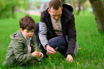 father and son exploring nature together. man and child picking flowers in green park during...