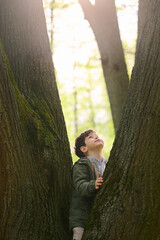 child exploring nature in forest looking upward between two large tree trunks with sunlight...