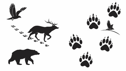 Fototapeta premium Black silhouettes of wild animals and their tracks. Bear paw prints, deer hoof prints, and bird footprints. Nature wildlife tracking vector graphics.