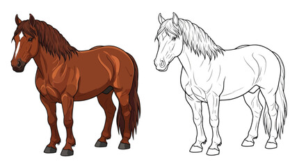 Fototapeta premium Ardennes Horse Coloring Page Featuring Realistic Colored and Clear Outline Equine Design