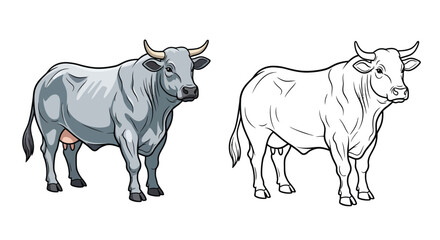 Fototapeta premium Belgian Blue Cow Coloring Page Featuring Realistic Colored and Clear Outline Bovine Design
