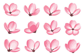 Twelve Pink Blossom Flowers in Various Stages
