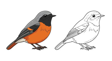 Obraz premium Common Redstart Coloring Page Featuring Realistic Color and Clear Outline Bird Design
