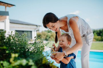 Young family taking care of plants in garden, spraying them with water.