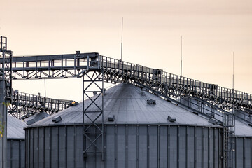 Large metallic silos store harvested grain, showcasing the industrial structure of a busy...
