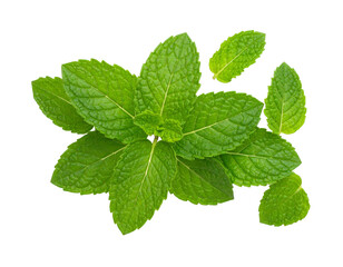fresh mint leaves isolated on transparent background, png