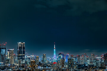 日本の東京の夜景