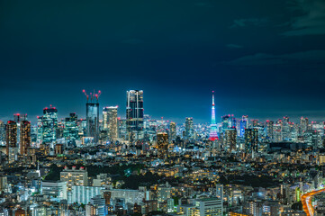 日本の東京の夜景
