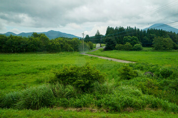 Tranquil Countryside Scene with Fields and Mountain Backdrop: A serene landscape featuring vibrant...
