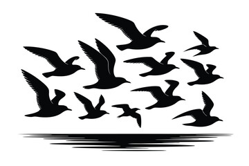 Fototapeta premium Black Silhouettes of Seagulls Flying Over Water with White Background