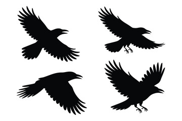 Four Black Crow Silhouettes Flying in Different Positions Against White Background,
