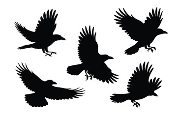 Obraz premium Five Black Raven Silhouettes Soaring Against a White Background, Wings Spread in Flight