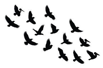 Fototapeta premium Silhouettes of Birds A Flock of Pelicans and Other Birds Flying in Formation
