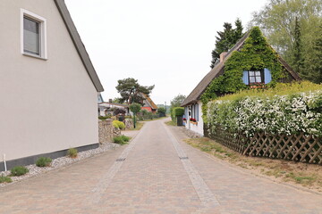 Grauer Frühsommertag in der Gemeinde Kamminke auf der Ostseeinsel Usedom
