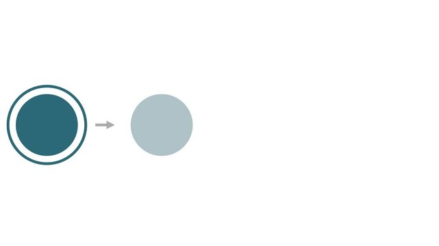 An animated infographic with 4 seamless steps, using smooth transitions, minimal icons, and bold text&mdash;perfect for visualizing workflows, business strategies, or step-by-step processes.