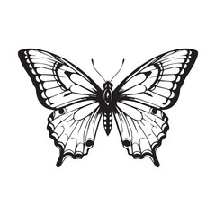 Black and White Butterfly Vector Illustration – Detailed Insect Silhouette Design