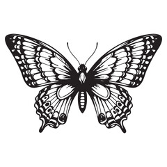 Black and White Butterfly Vector Illustration – Detailed Insect Silhouette Design